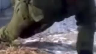 🔥 American Soldiers VS Russian Soldiers