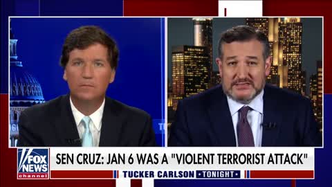 Tucker just crucified Ted Cruz over 'terrorist' comment