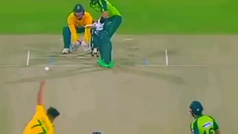 cricket fans-video cricket lovers-video #cricket #cricketlover