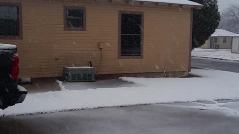 Snow In Killen Texas