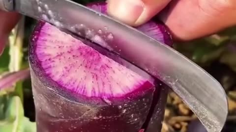 Amazing Fruits And Vegetables Cutting And Farming Skills Compilations😋