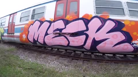 Meck-daytime Train Graffiti