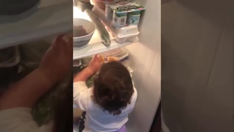 funny baby sneaks into the refrigerator