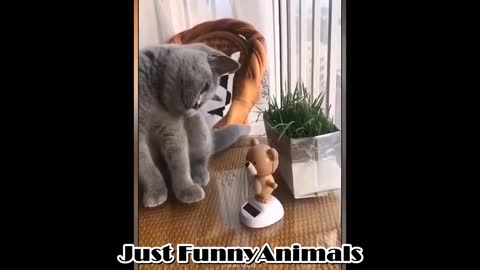 Cute Pets And Funny Animals Compilation Just Funny Animals 3