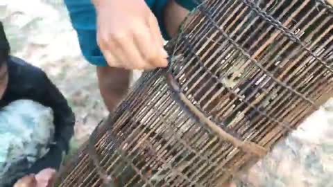 Awesome Boys Caught A Lot Of Water Snake - Caught Water Snake With Bamboo Net Trap