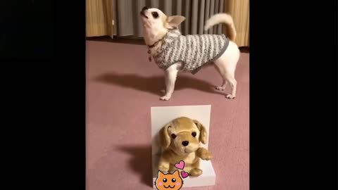 A mimicking toy dog makes a real dog to howl non-stop