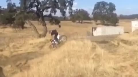 Yellow field bmx faceplant