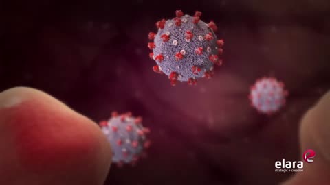Cell invasion by coronavirus - this 3D animation will blow your mind