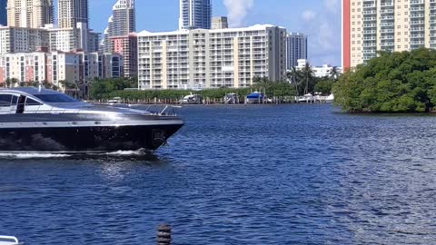 Miami Yacht