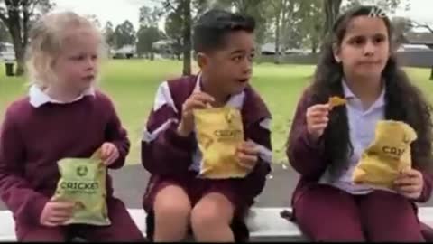 Australian Schools Have Just Introduced Their Canteens Snacks Containing Bugs