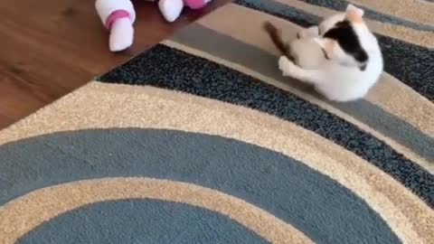 Really cute cat and baby playing with each others...