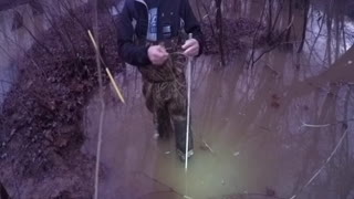 "Kill" poles for beaver
