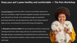 Keep your pet’s paws healthy and comfortable — The Pets Workshop