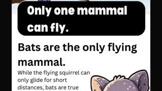 Mammals important facts