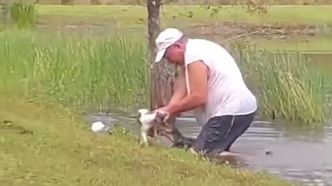 Terrible thing happen to a dog and man trying to safe him(Funny Video)