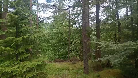 Macnab burial site Killin