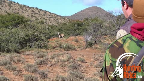 Brett Red Hartebeest Hunt