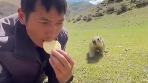 Sharing a snack with a curious marmot.. 😊