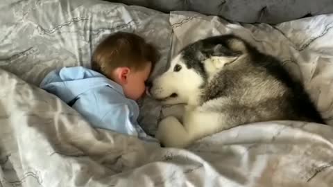 A baby and a dog fall asleep together in their parent's bed