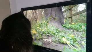 Nikita watches her fav Video Channel
