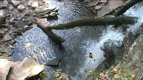 Creek waterfalls