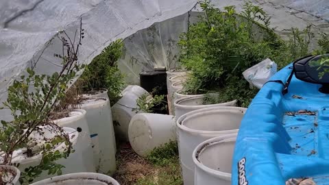 Hoop House Pt. 1 - Before and After Cleanup!