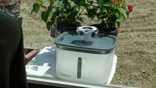 I've Lost My Amateur Standing - I Bought Lantana Plants! Hummingbird Bath, Round Bails & Seed Drilln