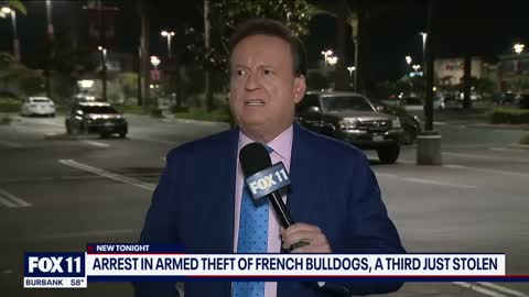 2 French bulldogs stolen at gunpoint on 6th Street Bridge in LA