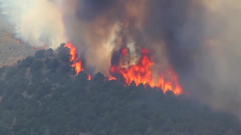 Strong Huge Forest Fire Burning heavy smoke and open fireTrees on Mountain