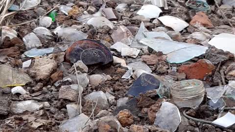 Mudlarking finding old coins