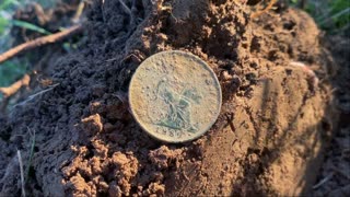 Lost Treasures Of The Colony Metal Detecting