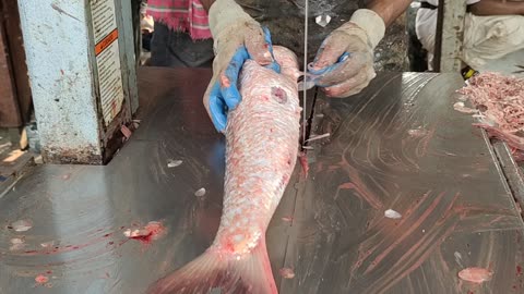 Live Fish Cutting Skills l Big Mrigal Fish Fast Cutting By Machine In Fish Market
