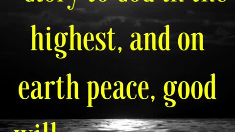 Bible Verse For the Day...“Glory to God in the highest, and on earth peace, good will toward men.”