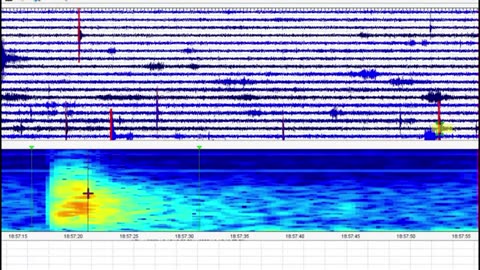 Yellowstone Super Volcano Report, Dec.15,2023 - Zombie Deer