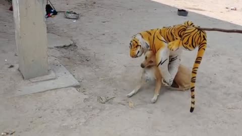 Wow Nice!!! Fake Tiger VS Dog So Funny Prank