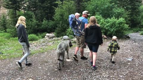 Dogs, Kids and Water Features . . . The Best!