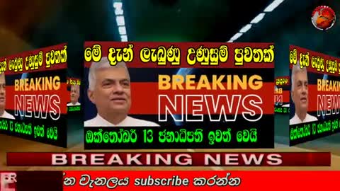 Breaking News - Breaking News Today -News Sri Lanka Today - News 1st-Sirasa News - Sirasa Tv live