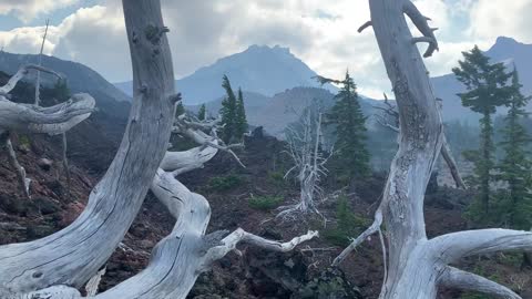 Central Oregon - Three Sisters Wilderness - Interesting Perspective