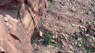 Rope Swing Through The Canyon