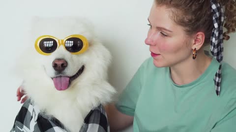 woman and smart dog #funny animal #shortvideo