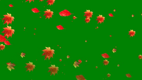 Leaves falling in the autono on green background