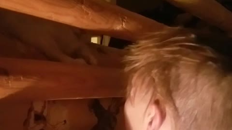 Cat hits kid's head through wood bars of bunk bed