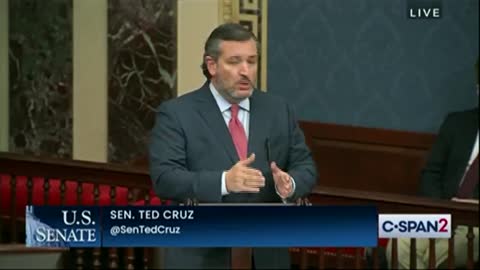 Ted Cruz Calls on Dems to Stop Criminals From Receiving Stimulus Checks - Dems Response Says It All