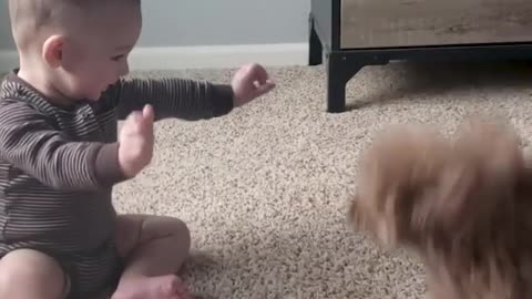 Cute baby and Animals/ Very funny & beautiful video