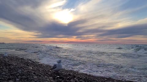 Awesome Sea Waves Coming to Shore Captured with Time Lapse