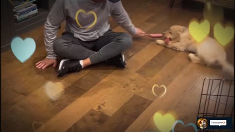 "🐾 Cute Dog Complications: A Heartwarming Tale. #viral