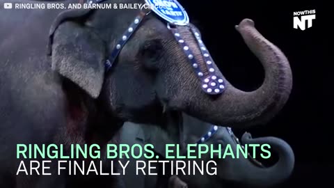 Ringling Bros. Circus Elephants Are Finally Retiring