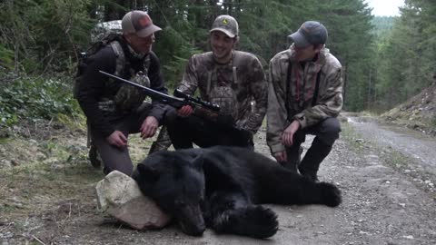 Vancouver Island black bear hunt 2021