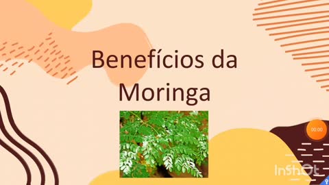 [pt. 1] A moringa contém todos os aminoácidos essenciais que o corpo necessita