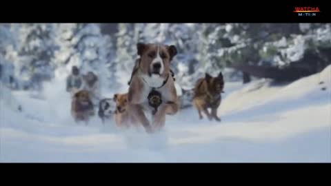 Dog sledding in an Avalanche. Extract The Call of the Forest